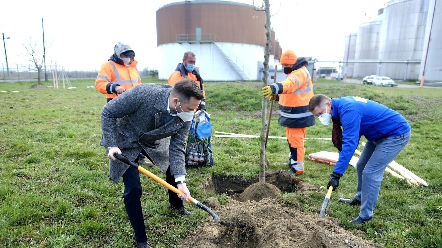 Stromy pribudli v čistiarni