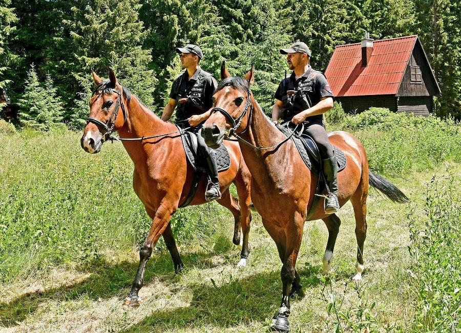 Jazdná hliadka na Liptove