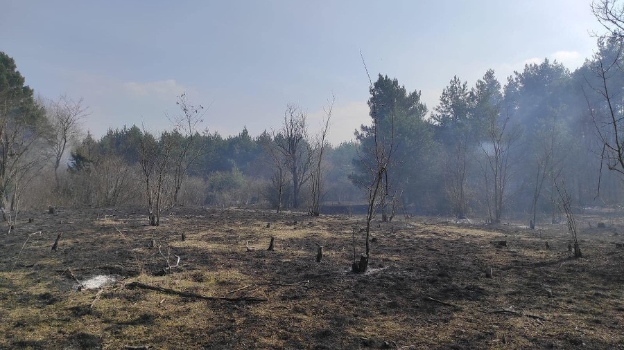 Hasiči zasahujú pri požiari