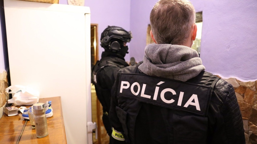 Slovenská a britská polícia