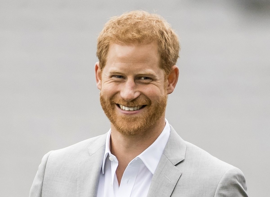 princ Harry (36), Vojvoda