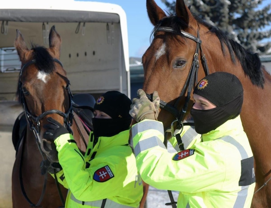 Majestátne zvieratá pomáhajú policajtom pri práci.