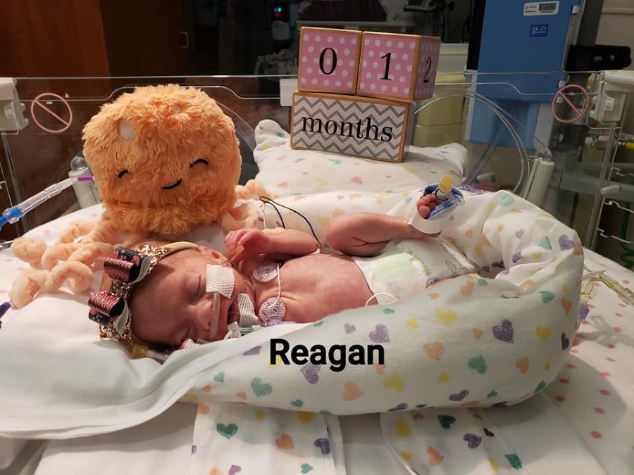 Reagan (1 mes.).