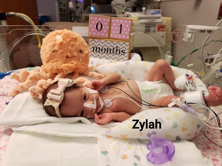 Zylah (1 mes.).