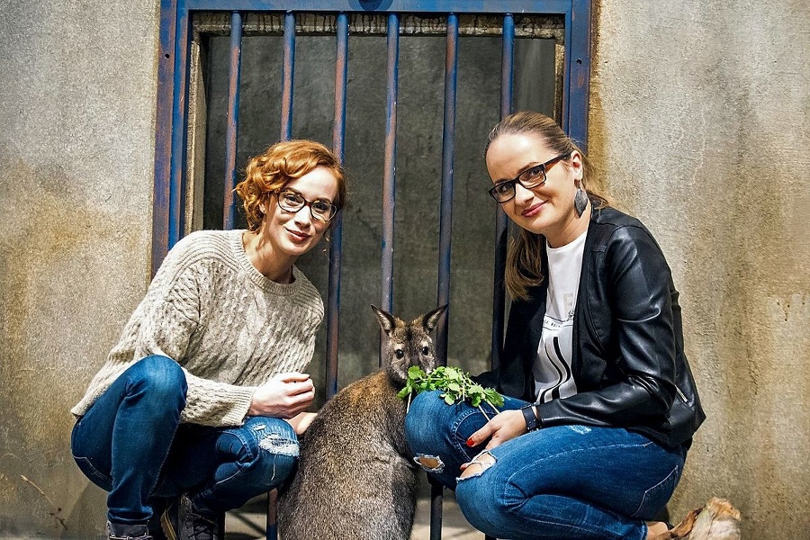Kengura Skippy v seriáli ZOO ako Lacko