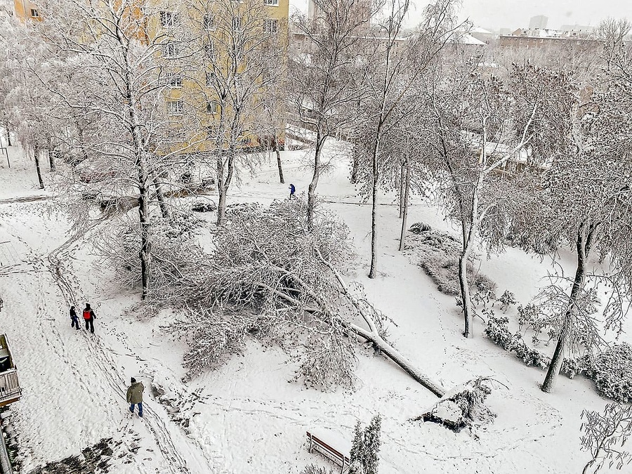 Košice: Pod náporom snehu