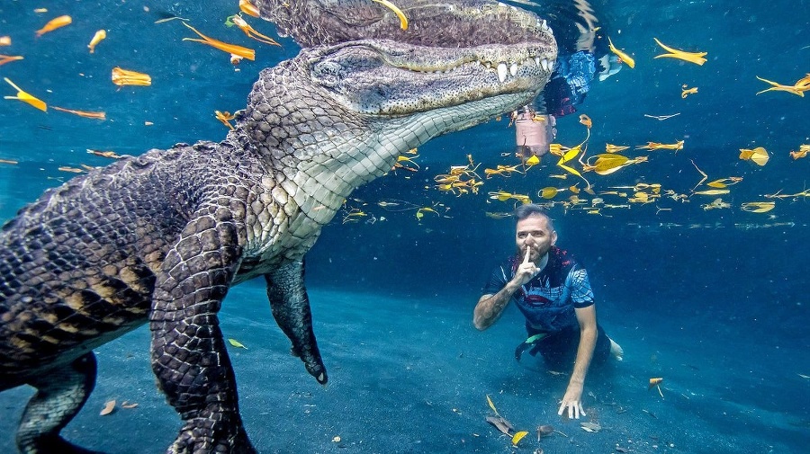 FLORIDA: Potápač prekonal svoj