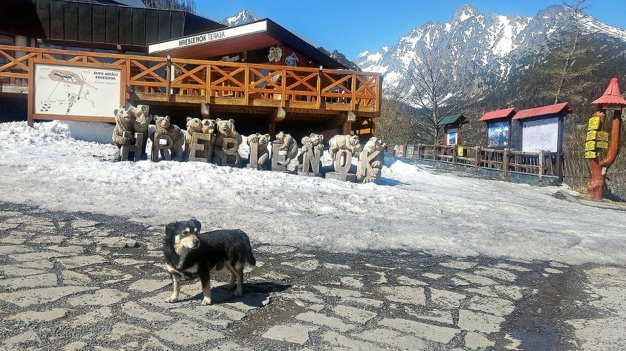 Vysoké Tatry, apríl 2020: