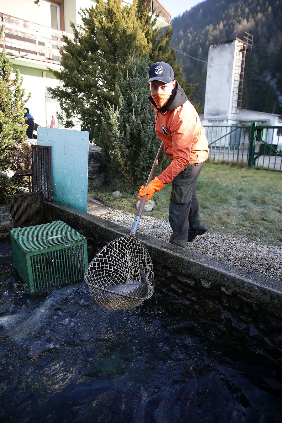 Ryby sú neodmysliteľnou súčasťou