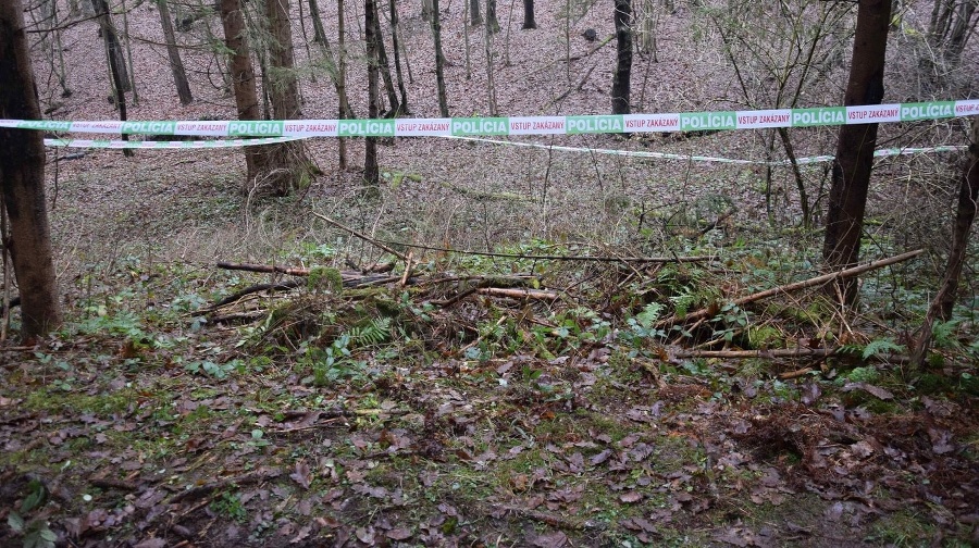 Polícia obvinila 34-ročného muža