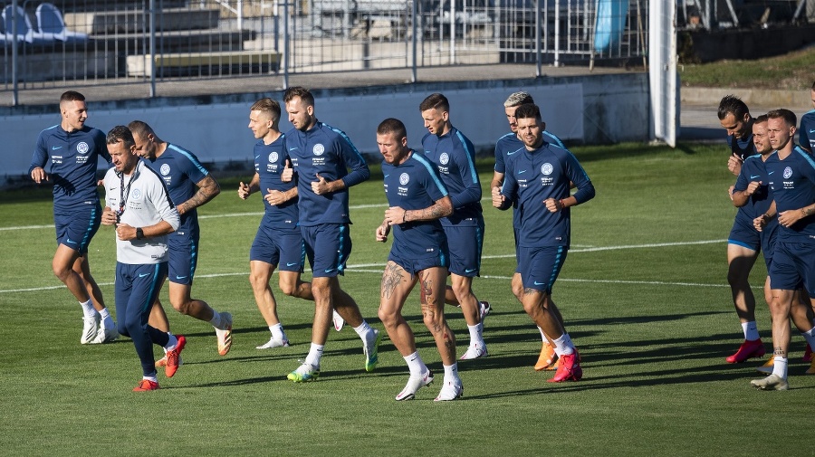 Futbalisti slovenskej reprezentácie.