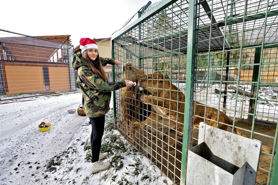 Aslan a Kiara si našli v balíčku aj šľahačky.