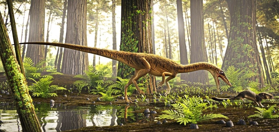 Prvý známy predok T-rexa