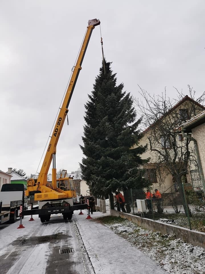 Vianočný strom už osadili na námestí, meria 13 metrov.