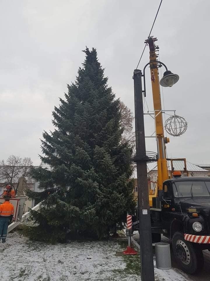Vianočný strom už osadili na námestí, meria 13 metrov.