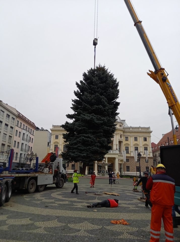 V Bratislave osadili stromček,
