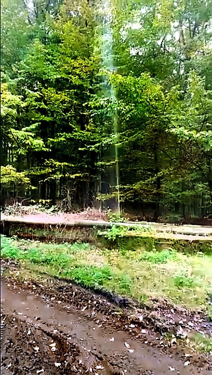 Z potrubia vytekala a striekala špinavá, kalná a spenená tekutina.