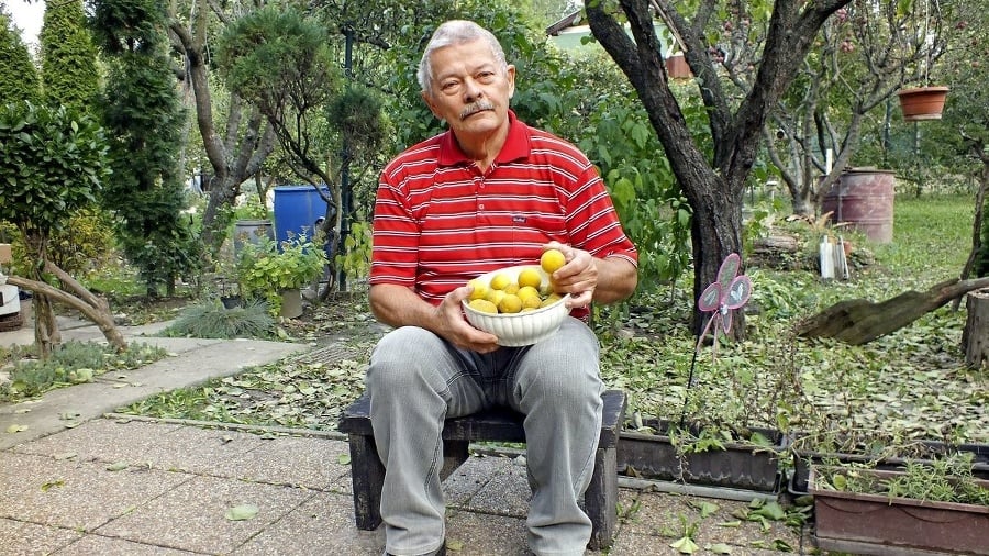 Františkovi (71) pred záhradnou