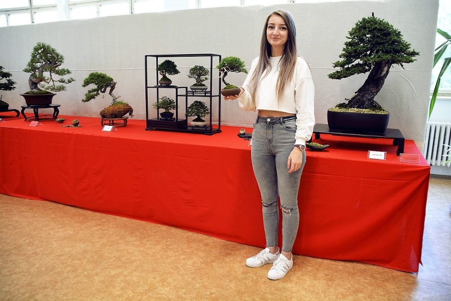 Najmenší kúsok výstavy ukazuje milovníčka bonsajov Mirka (20).