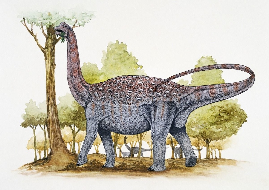 Titanosaury podľa odhadov vedcov