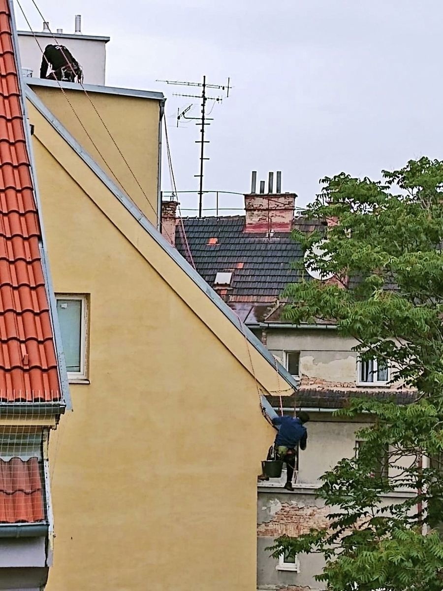 Holuby sú uväznené už piaty deň.
