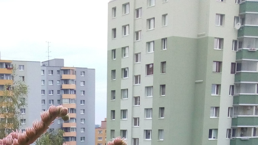 Ľudmile vyrástla na balkóne