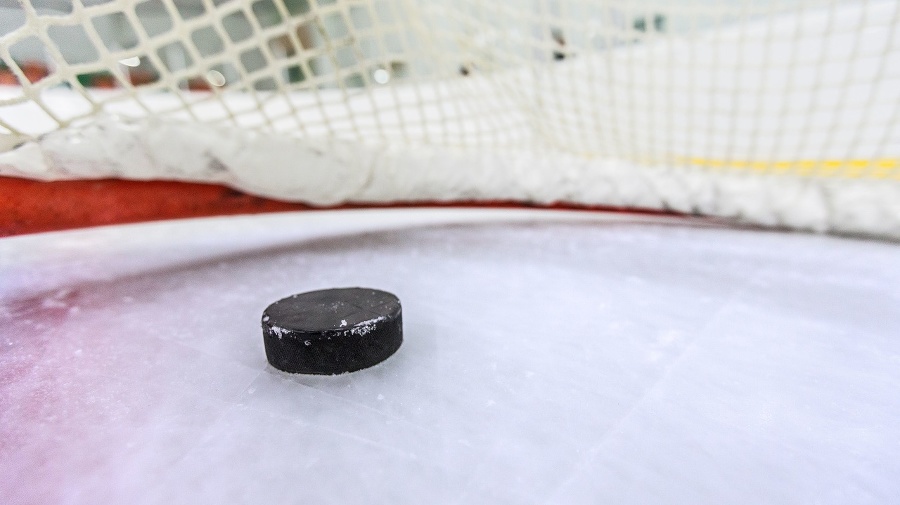 Hockey Net with Puck