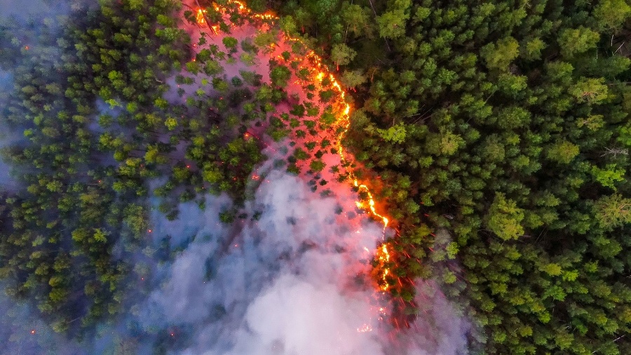 Vlna horúčav na Sibíri