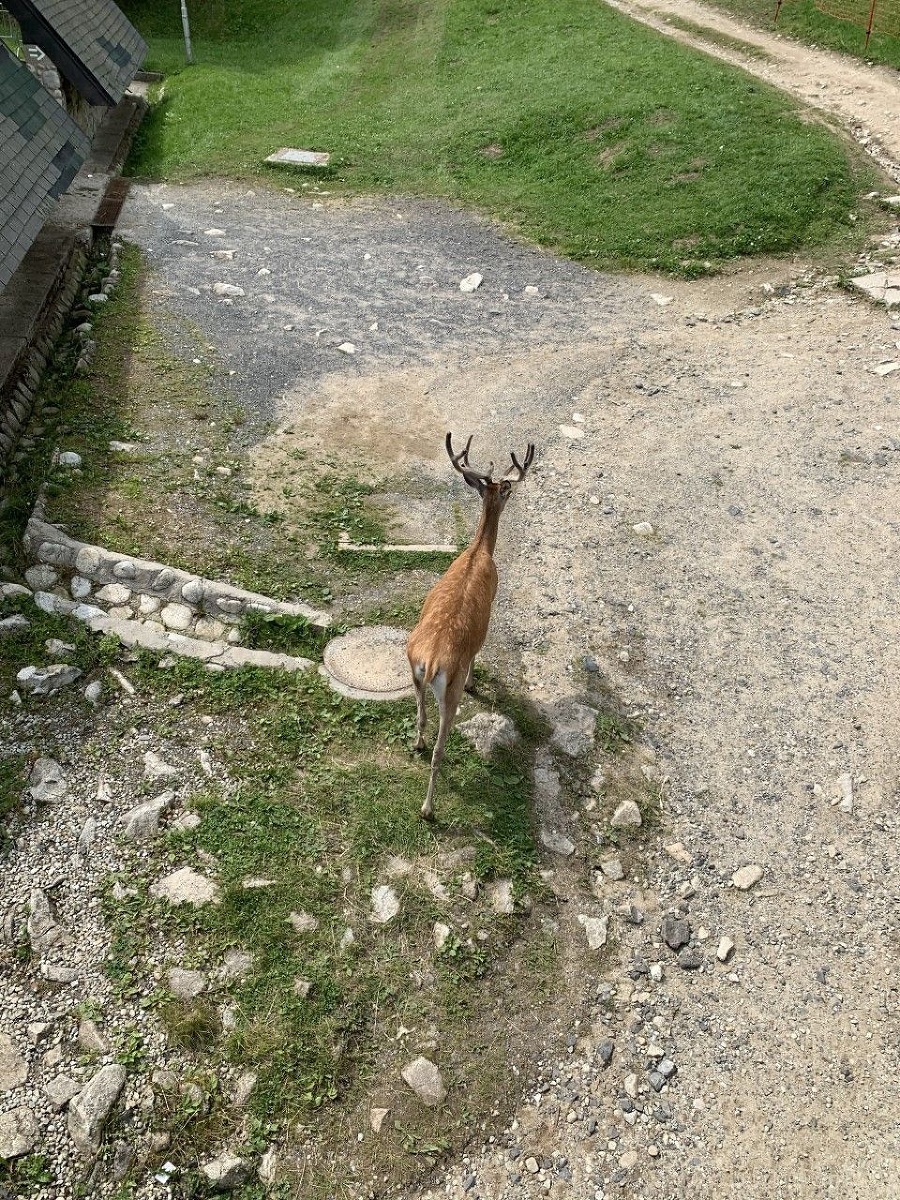 Turisti na Hrebienku boli