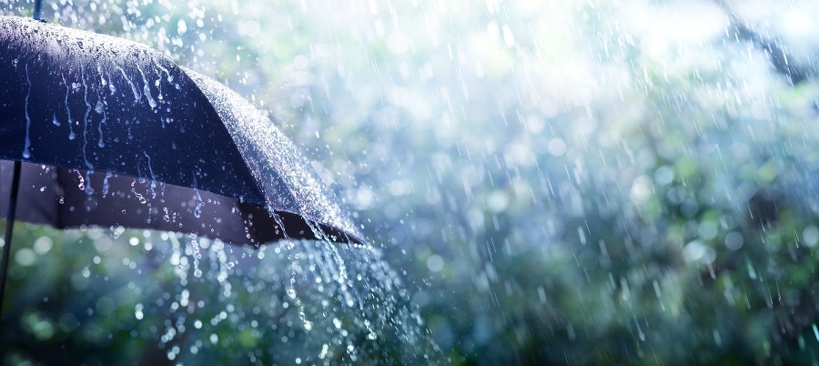 Rain On Umbrella -