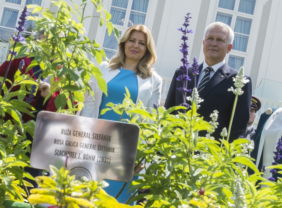 Prezidentka SR Zuzana Čaputová