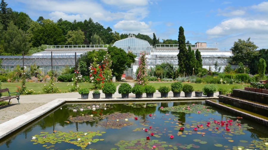 Areál košickej botanickej záhrady