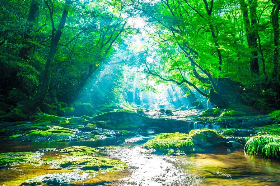 Kikuchi valley, waterfall and