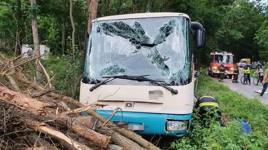 V havarovanom autobuse sa