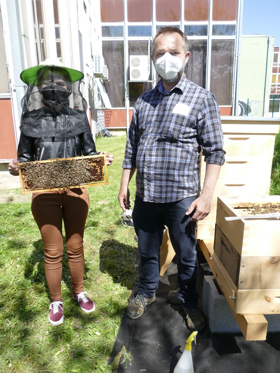 V Prešove vyučujú včelárstvo