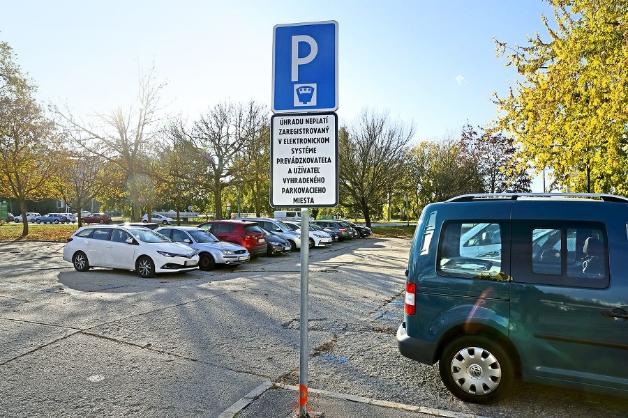 Celomestská parkovacia politika by