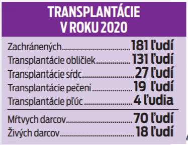 Transplantácie v roku 2020