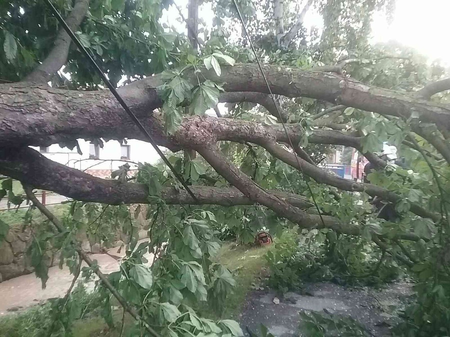 Hasiči prevažne odstraňovali spadnuté