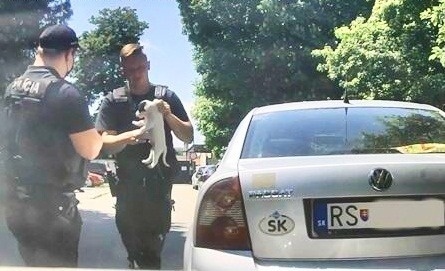 Policajti zachránili psíka.