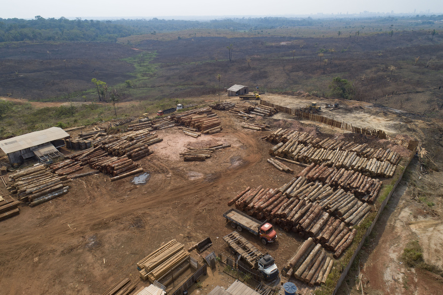 Odlesňovanie v Amazónii dosiahlo