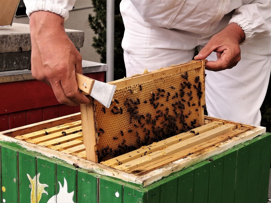 Kvalitu medu od hotelových