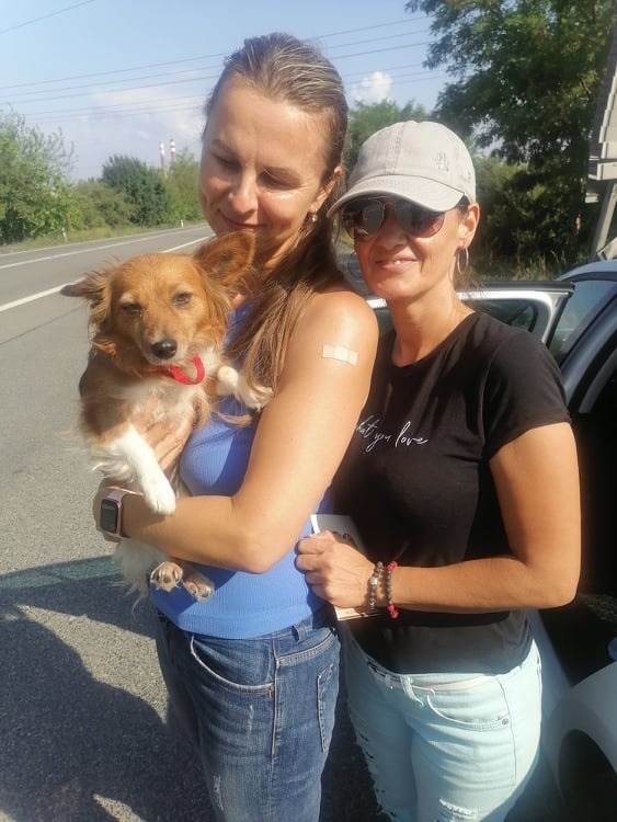 Zmrzačenú Kuki postavia na labky.