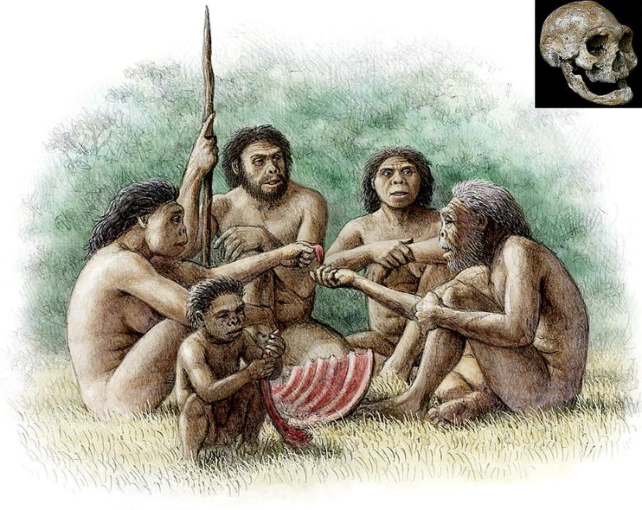 Deľba jedla: Skupina Homo