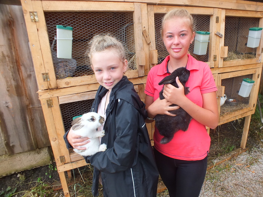 Zľava Sofia Lászlóová (10) a Soňa Džadoňová (11) mojkajú na farme zajačikov.