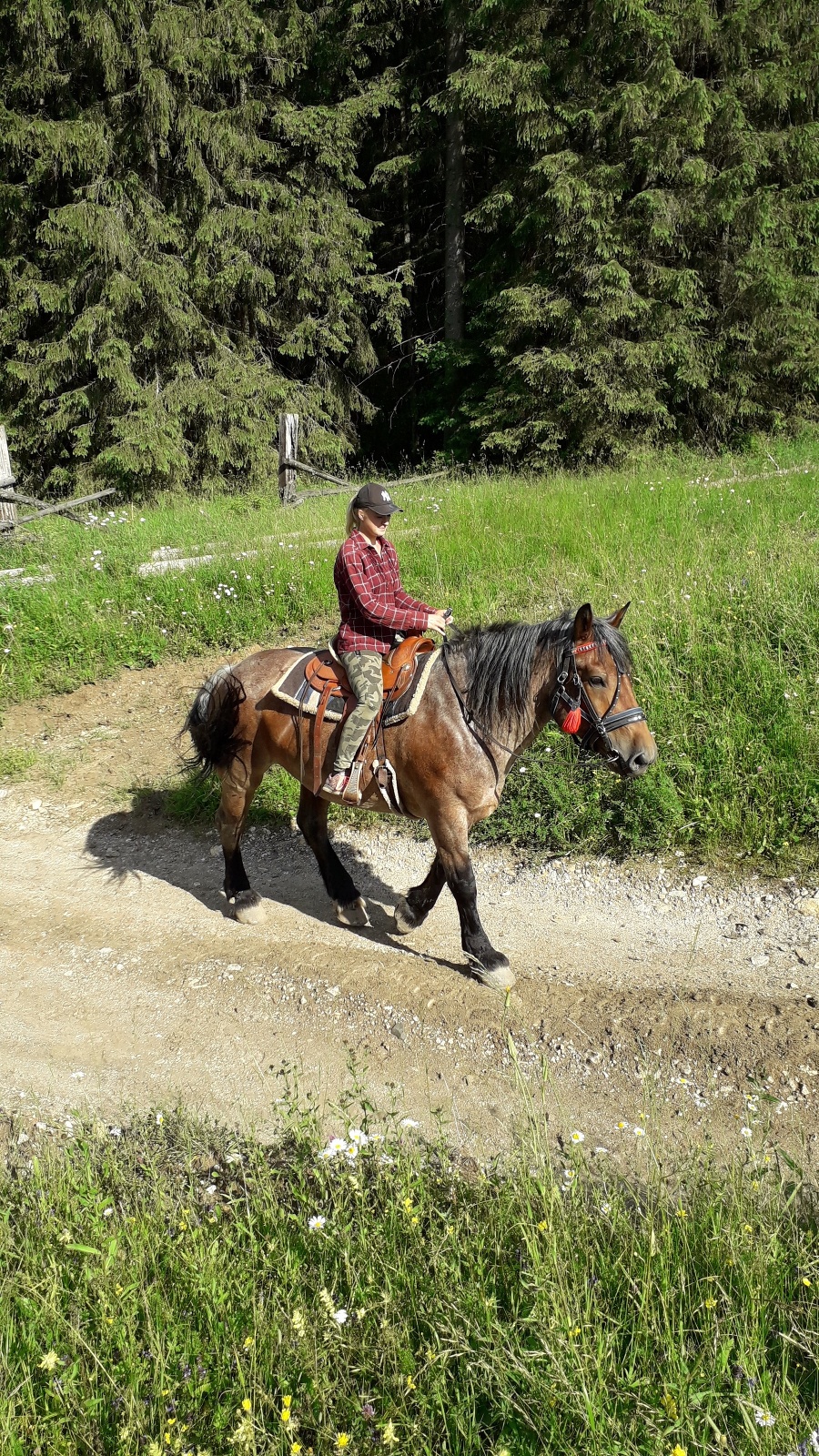 Martina (20) na koni