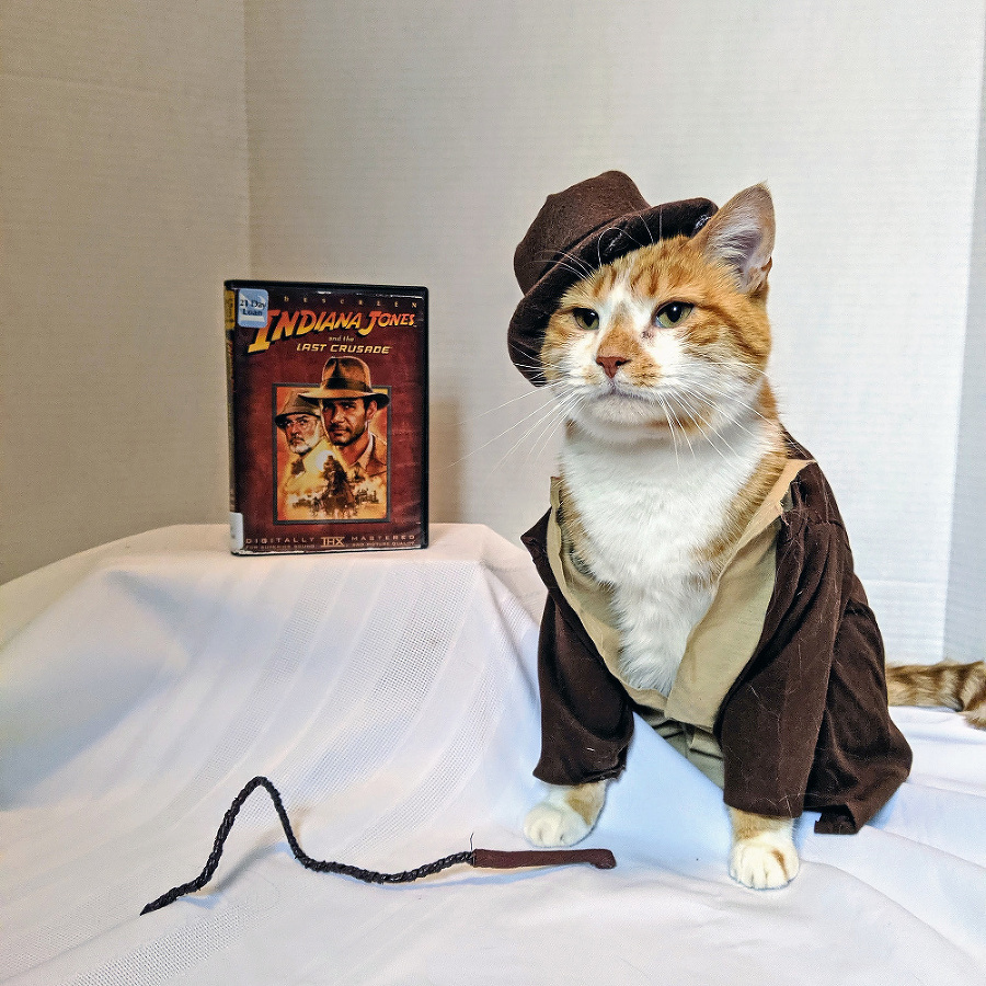 Horatio ako
dobrodružný
Indiana Jones