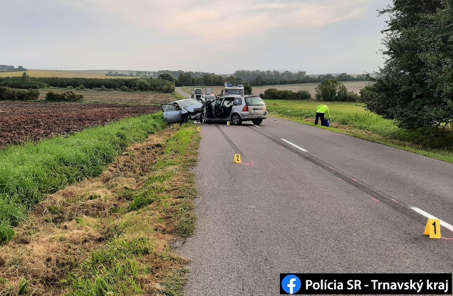 K tragickej dopravnej nehode prišlo v skorých ranných hodinách na štátnej ceste III/134 pri meste Gbely v smere na obec Petrova Ves v okrese Skalica. 