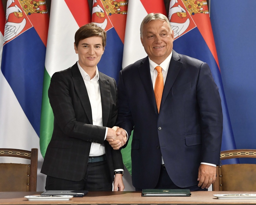 Predsedníčka srbskej vlády Ana