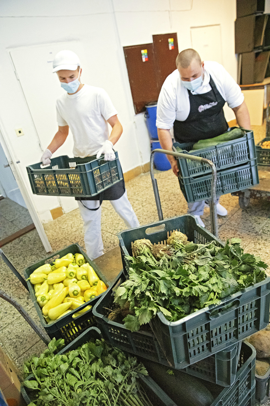 Odvoz do škôl: Nazbieranú
zeleninu
prevážajú
v