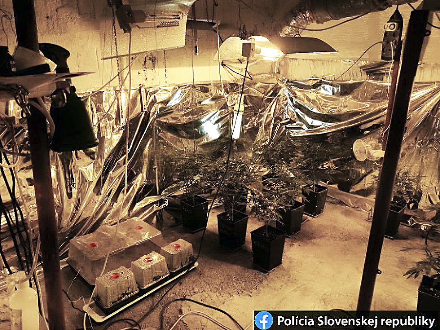 Polícia odhalila laboratórium
na pestovanie